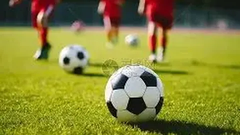 “塔罗与蜘蛛小心应对，密集赛事挑战耐力极限。”